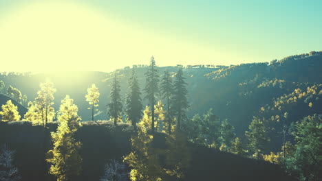 autumn scandinavian like forest and landscape with vibrant autumn colors