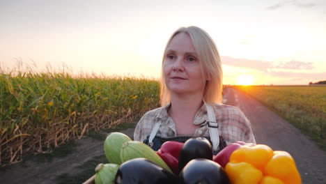 farmer with a harvest at sunset