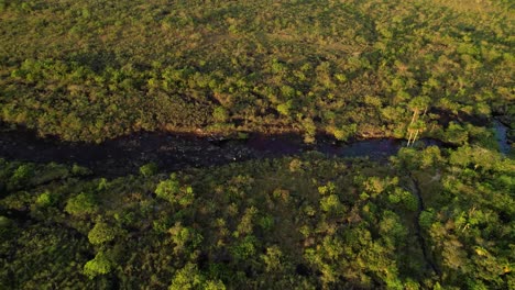 vista aérea del río caño cristales con algas rojas en un cauce rodeado de naturaleza verde selva tropical, colombia