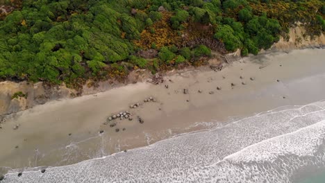 Playa-De-Rocas-De-Moeraki,-Nueva-Zelanda