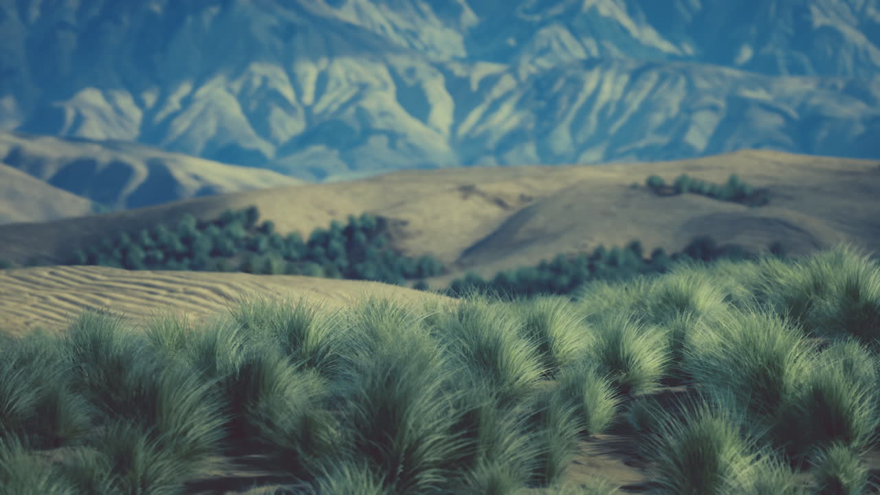 캘리포니아 의 모하베 사막 의 바위 가 있는 풍경 과 초록색 관목