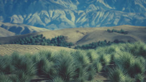 el paisaje rocoso del desierto californiano de mojave con arbustos verdes
