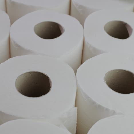 Viele-Toilettenpapierrollen-1