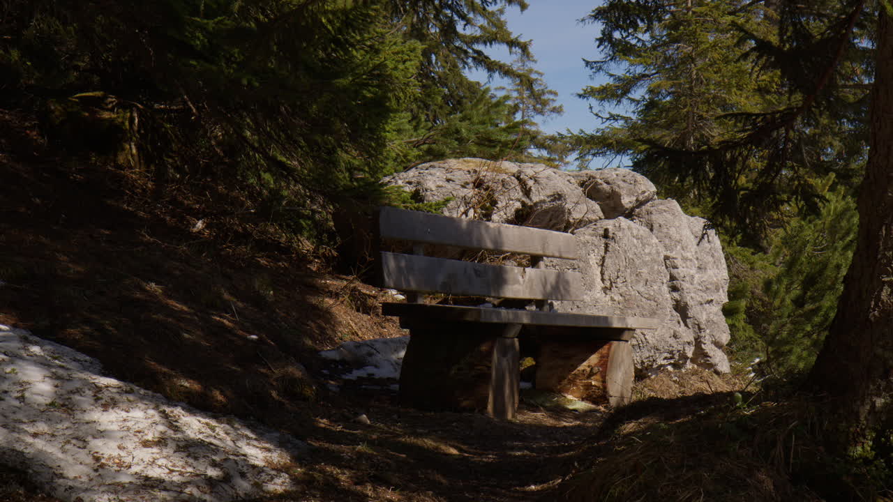 Lonely Wooden Bench In The Park Of The Bavarian Alps, Germany. Static Shot