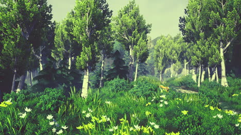 vibrant forest with lush greenery and wildflowers under a clear sky