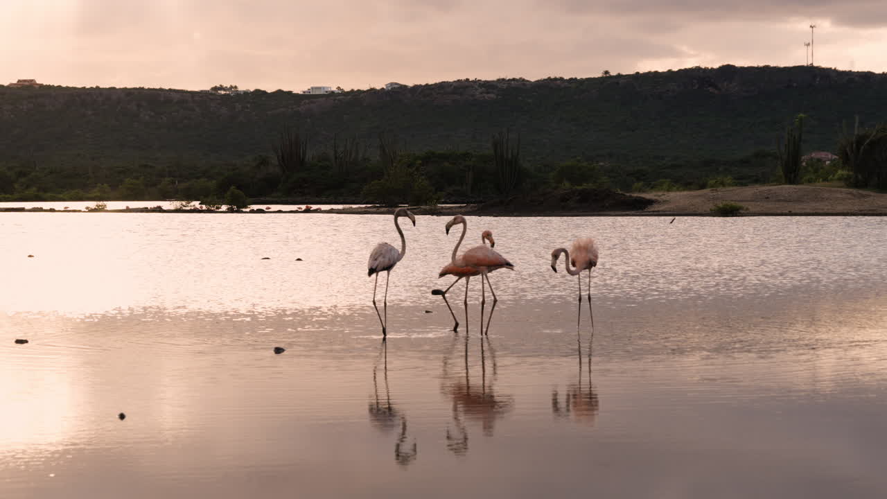 Salt lake scenery at Jan Kok Bay—flamingos, sun, and wide island skies
