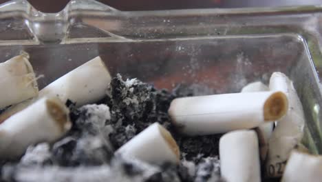 cerca de las colillas de cigarrillos en una bandeja de ceniza de vidrio