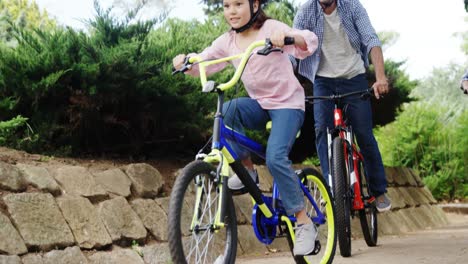 padre e hija en bicicleta en el parque
