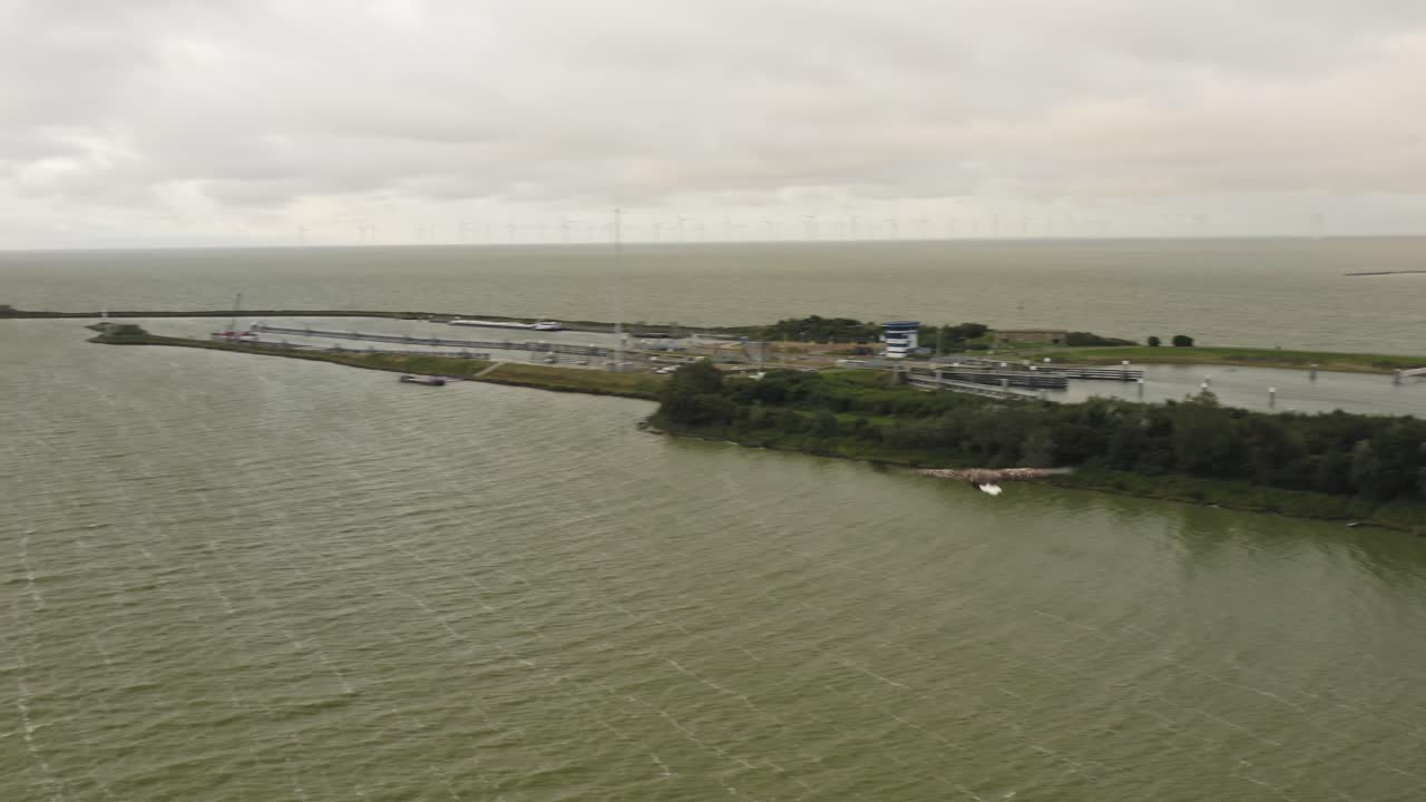 toma aérea de seguimiento de un águila marina de cola blanca a lo largo de la costa en un día nublado