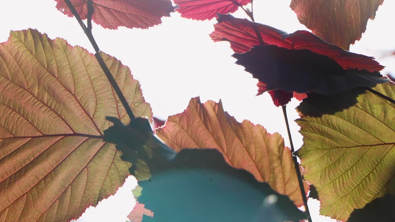 도쿄 최고의 전망