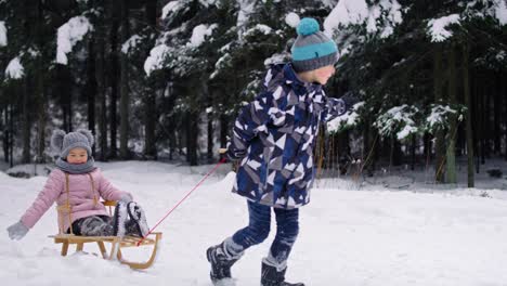 Wideo-Eines-Jungen,-Der-Mit-Seiner-Kleinen-Schwester-Im-Schnee-Schlitten-Zieht