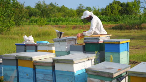 beekeeper is working with bees and beehives on the apiary. beekeeper on apiary.