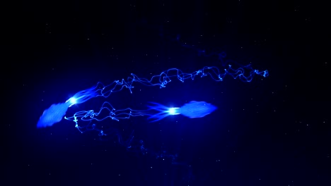 calamar iluminado con luz de color en el agua, animación cg, bucle