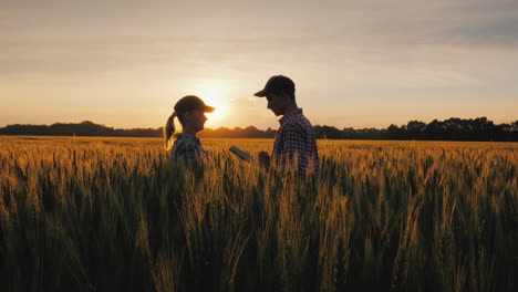 Dos-Agricultores,-Un-Hombre-Y-Una-Mujer-Esperan-La-Atardecer-Sobre-Un-Campo-De-Trabajo-En-Equipo-De-Trigo-En-Ag