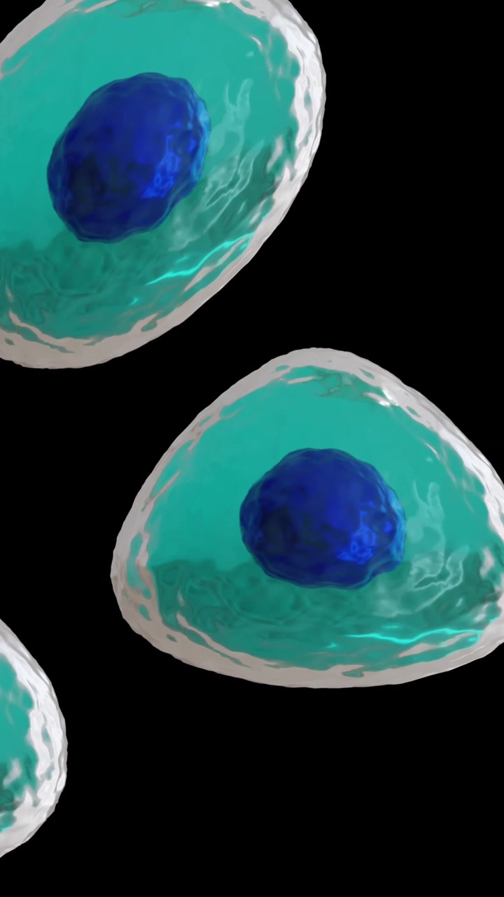 Animazione di cellule microscopiche blu e turchesi su sfondo nero