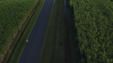 Ciclista-Cabalgando-Por-Una-Carretera-Recta-En-Un-Campo-Tropical