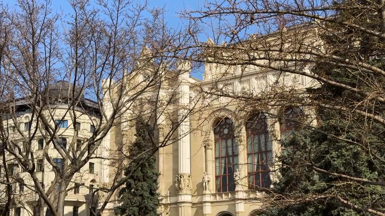 Uccello in volo tra gli alberi davanti a un edificio storico a Budapest, Ungheria. Movimento rallentato