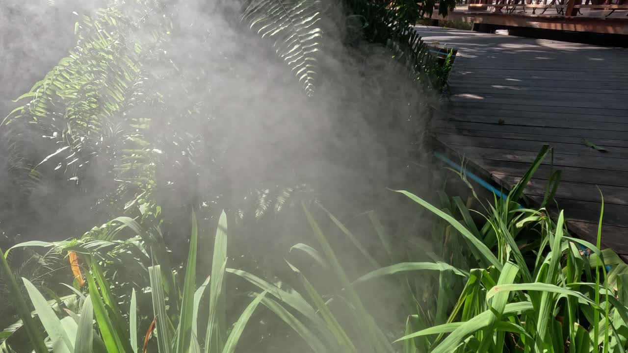 Nebbia d'acqua che si spruzza su piante verdi da giardino