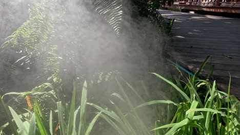 spray de niebla de agua sobre las plantas verdes del jardín