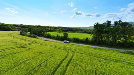 winding road through lush green fields. a serene road curves through vibrant green fields under a clear blue sky at midday, surrounded by gentle hills