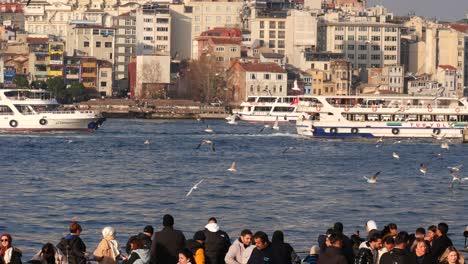 istanbul bosphorus ferry and city view