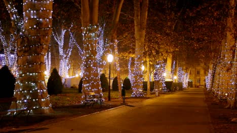 zrinjevac con luces navideñas en la noche