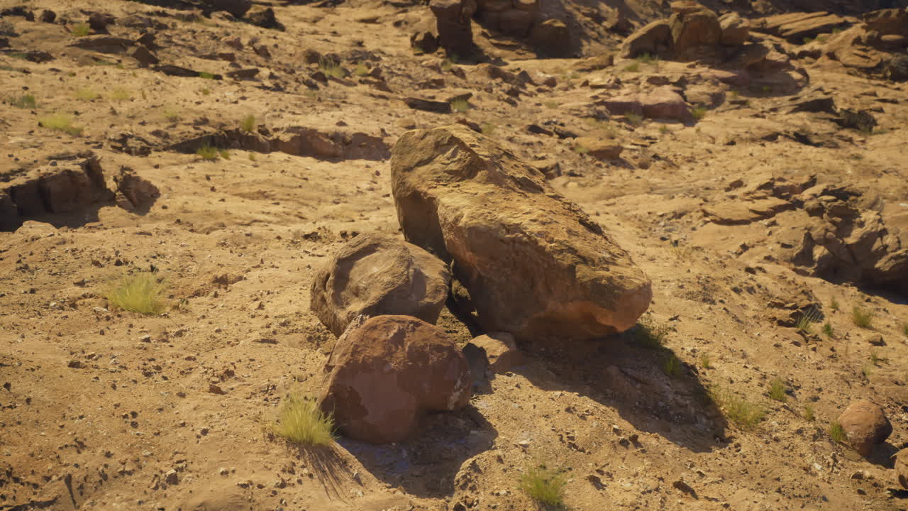 Stones scattered across a dry desert landscape with sparse plants