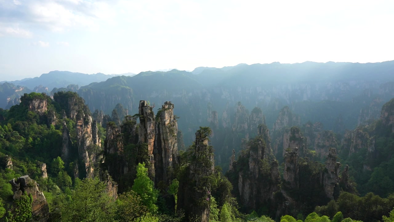 Vista maestosa di pilastri carsici e foresta lussureggiante nel Parco Forestale Nazionale di Wulingyuan in Cina