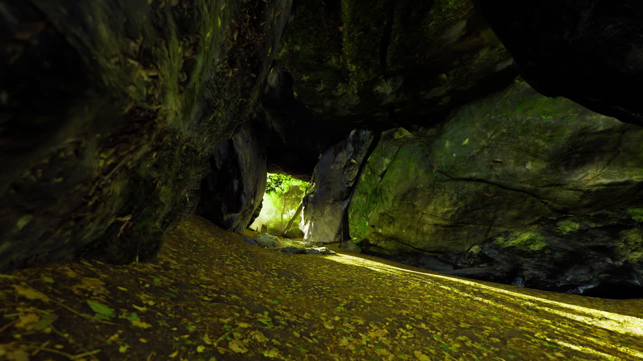 울창한 초록색을 통해 빛이 필터링되는 자연 동굴 형성