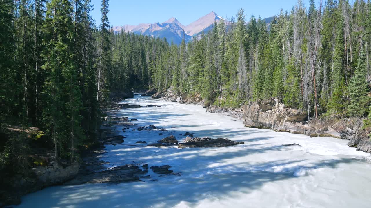 vista del paisaje natural del río esmeralda afon en el parque nacional yoho, alberta, canadá en verano durante el día con un fuerte flujo de agua bajo el sol cielo azul claro con bosque de pinos