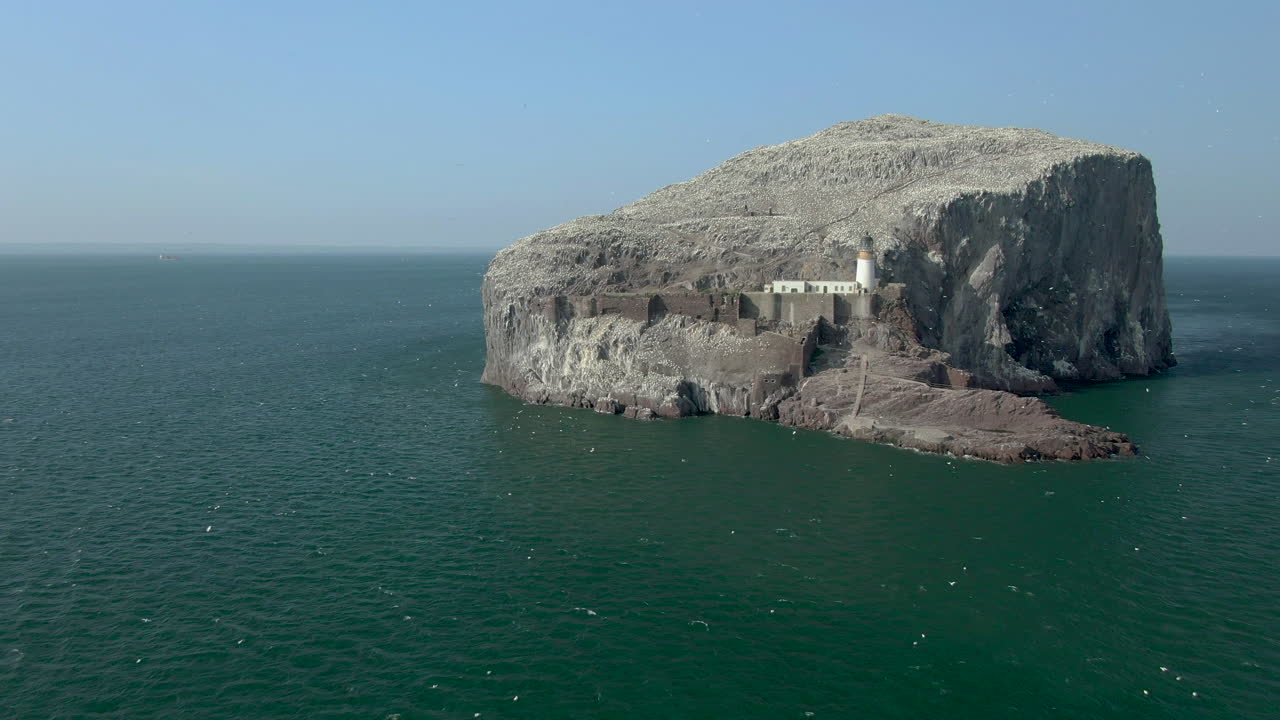 가넷 바닷새가 화창한 날 스코틀랜드 이스트 로디안에서 섬 식민지를 돌면서 바다 건너 베이스 록과 등대에 접근하는 공중 전망