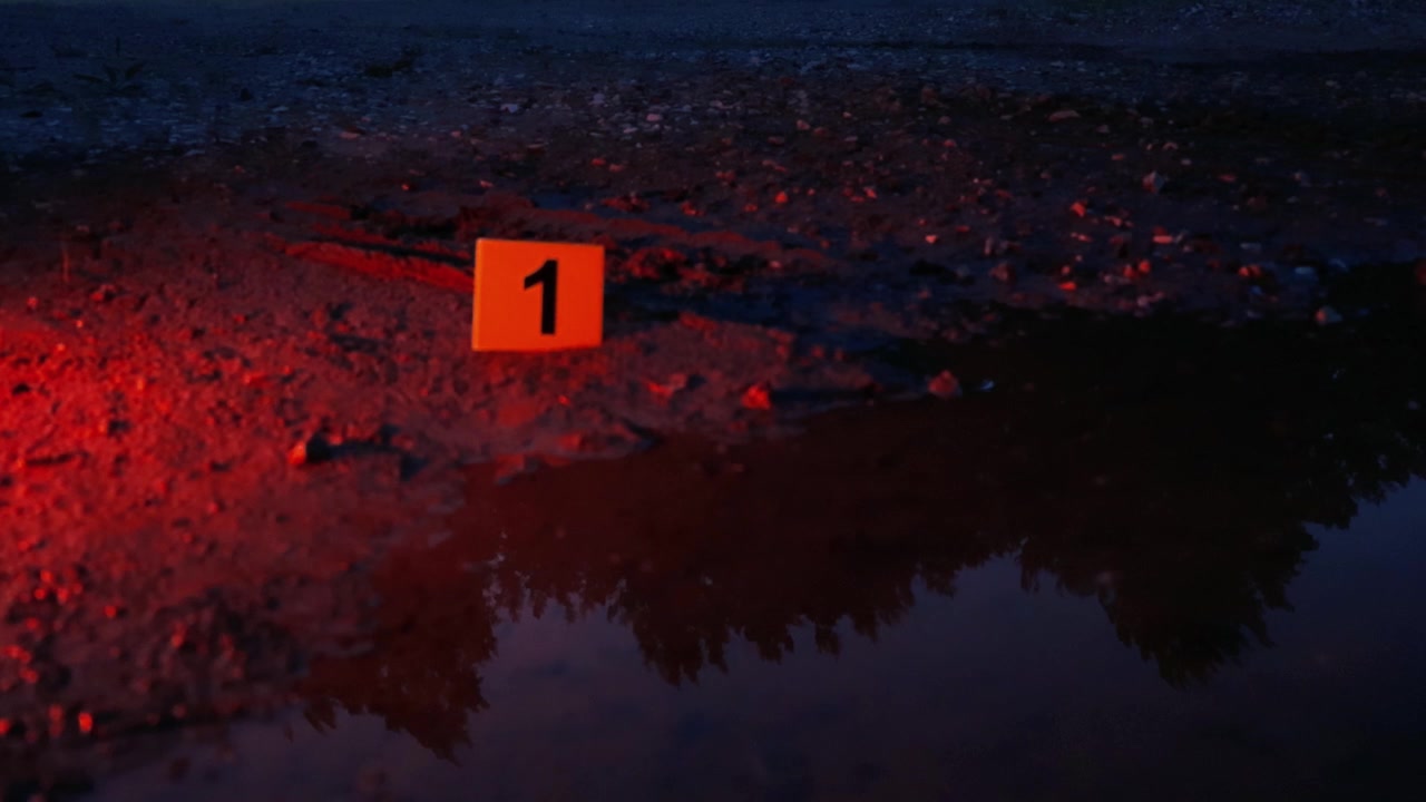 Evidence marker number one sitting on a muddy tire track next to a puddle at night, with flashing red and blue police lights creating an eerie and dramatic atmosphere of a criminal investigation