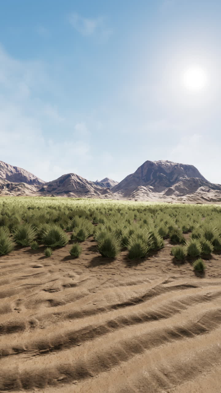 산과 풀이 있는 사막 풍경