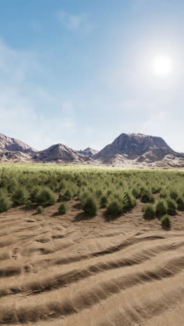 paisaje desértico con montañas y hierba
