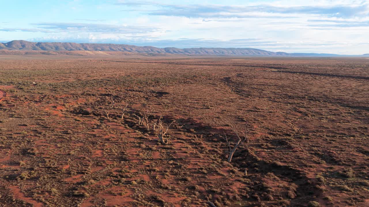 Reverse tilt reveal showing dead trees and vast arid outback in Flinders Ranges, South Australia