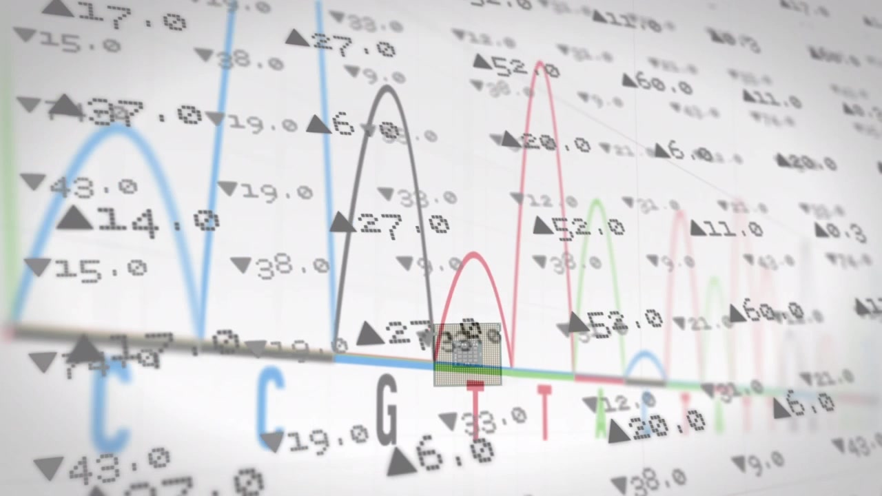 Animation of financial data over white background