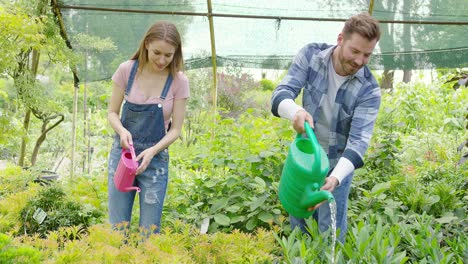 Young-man-and-woman-taking-care-of-plants-and-watering-with-pot