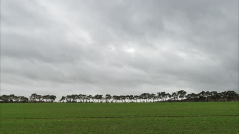 Time-lapse-of-fast-moving-clouds-and-a-treeline-silhouette,-Thetford,-Norfolk,-England