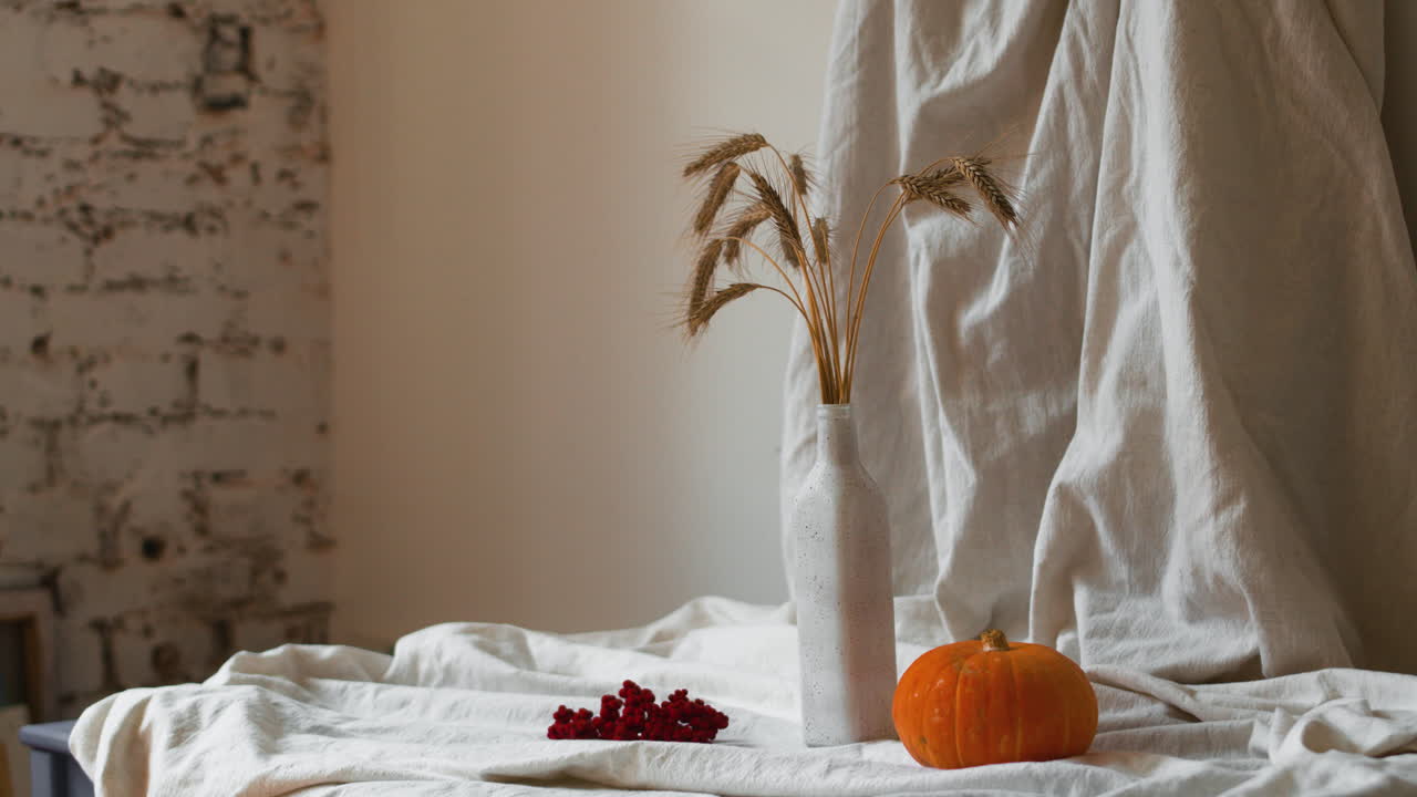 예술 사진 설정