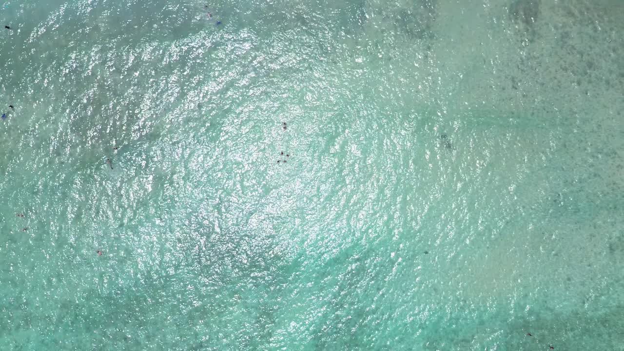 Top-down drone panning right above a group of swimmers in crystal-clear water. Midday light reflects across the vibrant sea