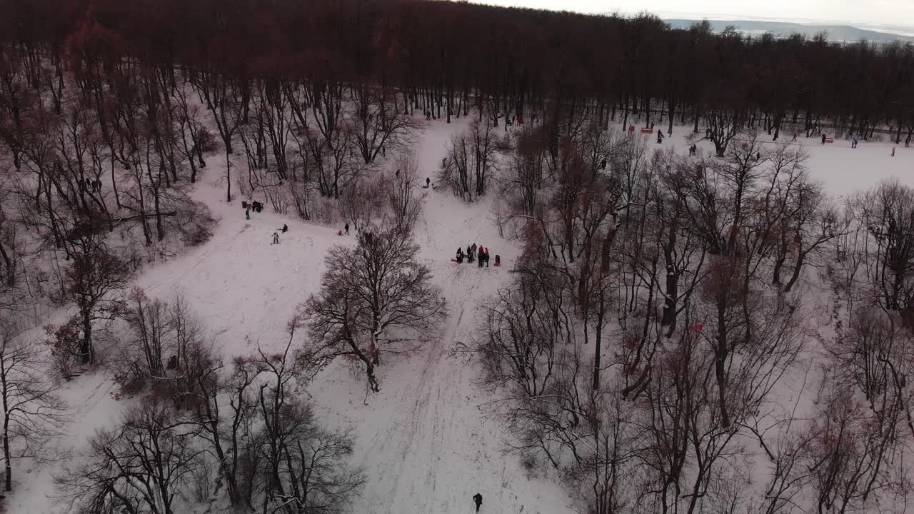 Ripresa aerea con drone vicino a una foresta panoramica su una collina innevata in Europa con persone che slittano, giocano e fanno escursioni.