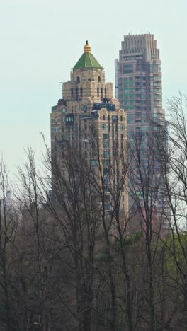 central park provides a peaceful escape from bustling manhattan