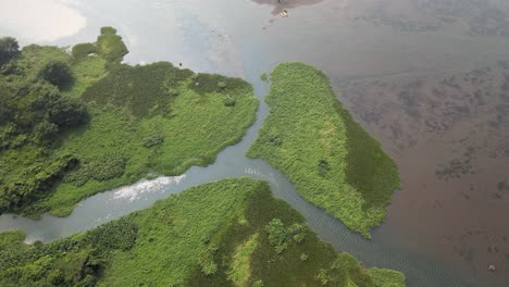 coxcoapan river delta whit sediment