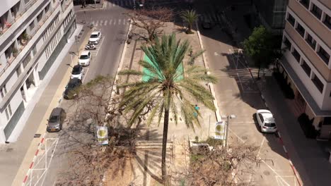 Urban Street View with Empty Streets and Trees in the City Center
