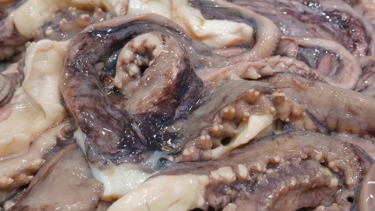 Primer plano de tentáculos de pulpo y calamares frescos en un mercado de mariscos
