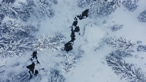 Der-Fluss-Erscheint-In-Der-Gefrorenen-Waldwinterlandschaft-Von-Oben-Nach-Unten,-Absteigende-Drohnenansicht