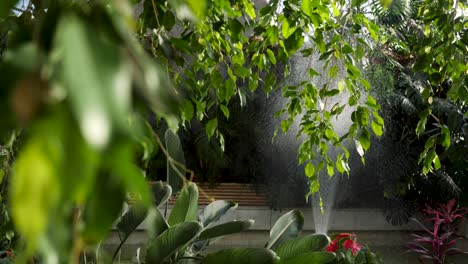 tropical greenhouse garden with fountain