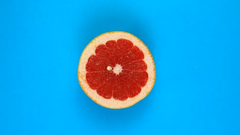 rotation of a juicy grapefruit isolated on blue. 360 degree rotation. sliced red grapefruit tree fruit.