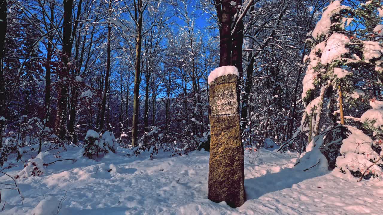 Panorering af en lille stenobelisk, der står alene i en sneklædt skov med snehue.