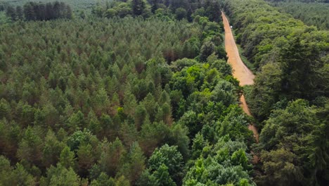Aerial-establishing-shot-with-a-drone-of-a-road-inside-of-a-forest-covered-with-green-trees-in-the-morning